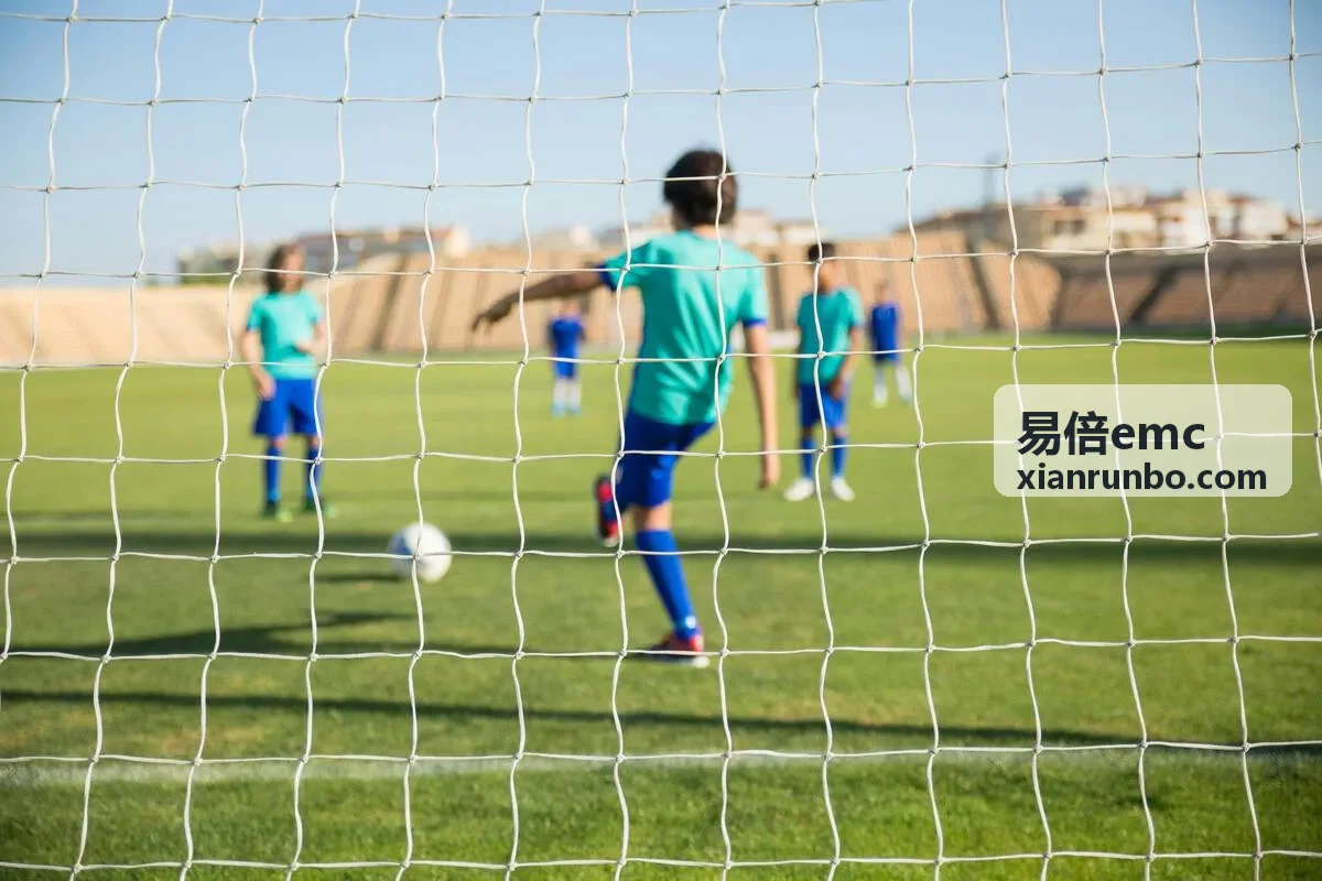 易倍emc汽车电子EMC方案